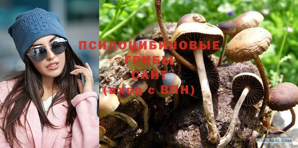 мет Нефтекумск