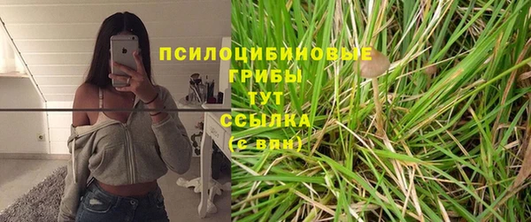 каннабис Новодвинск